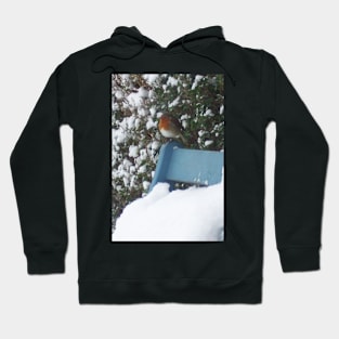 Snowy Christmas Red Robin Hoodie